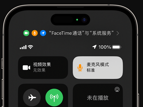 卧龙苹果授权维修网点分享iPhone在通话时让你的声音更清晰 