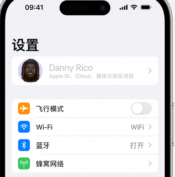 卧龙appleID维修服务iPhone设置中Apple ID显示为灰色无法使用 