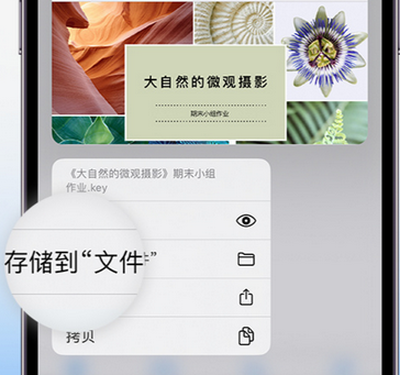 卧龙apple维修中心分享iPhone文件应用中存储和找到下载文件