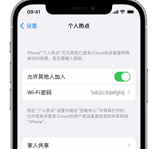 卧龙apple服务站点分享iPhone上个人热点丢失了怎么办 