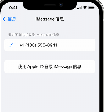 卧龙apple维修iPhone上无法正常发送iMessage信息