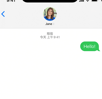 卧龙apple维修iPhone上无法正常发送iMessage信息