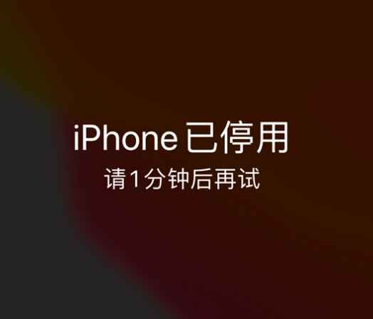 卧龙苹果手机维修分享:iPhone 显示“不可用”或“已停用”怎么办？还能保留数据吗？ 