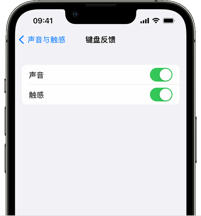 卧龙苹果14维修店分享如何在 iPhone 14 机型中使用触感键盘 