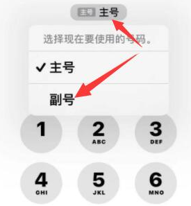 卧龙苹果14维修店分享iPhone 14 Pro Max使用副卡打电话的方法 