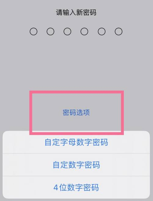 卧龙苹果14维修分享iPhone 14plus设置密码的方法 