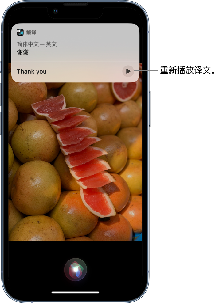 卧龙苹果14维修分享 iPhone 14 机型中使用 Siri：了解 Siri 能帮你做什么 