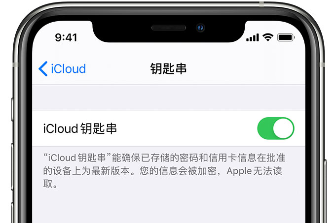 卧龙苹果手机维修分享在 iPhone 上开启 iCloud 钥匙串之后会储存哪些信息 