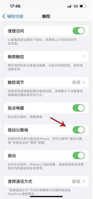 卧龙苹果手机维修分享iPhone手机如何设置摇一摇删除文字 