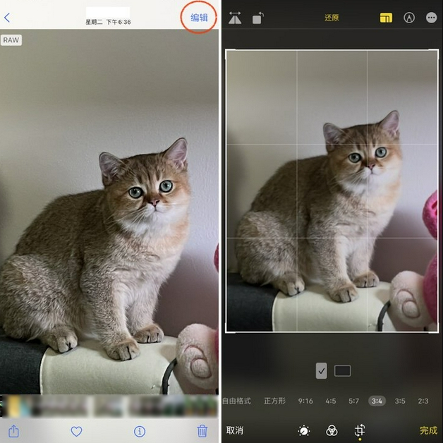 卧龙苹果手机维修分享苹果 iPhone 12 Pro 拍照会过度锐化 